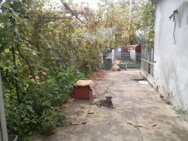 Jožefa Atile 14, Bačko Gradište - 8