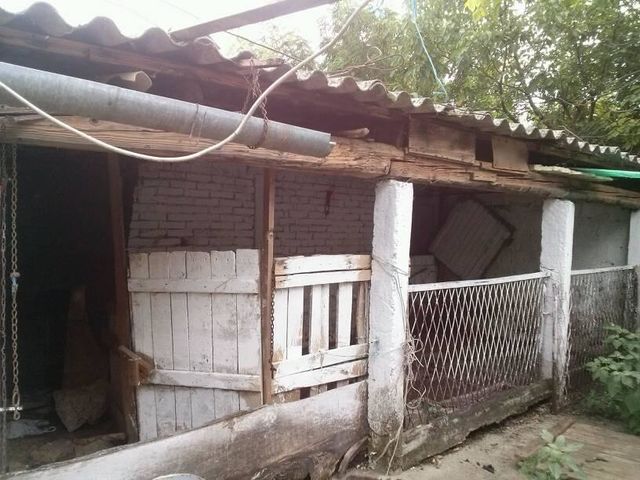 Jožefa Atile 14, Bačko Gradište - 10