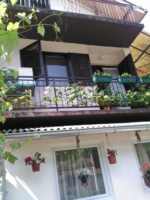 Manastirska 240, Rakovac - 2