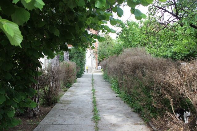 Koste Živkovića 5, Beograd - 1