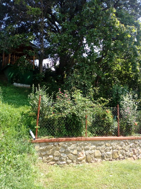 Testera bb-1, Čerević - 4