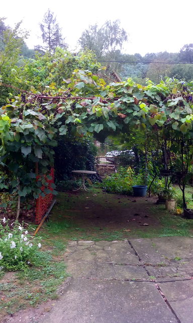 Manastirska 143, Rakovac - 13