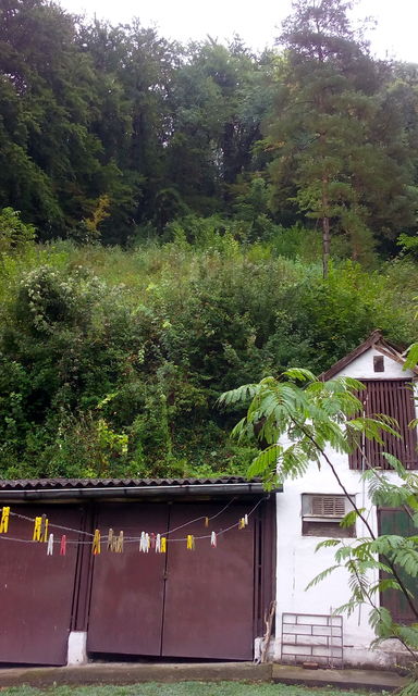 Manastirska 143, Rakovac - 12