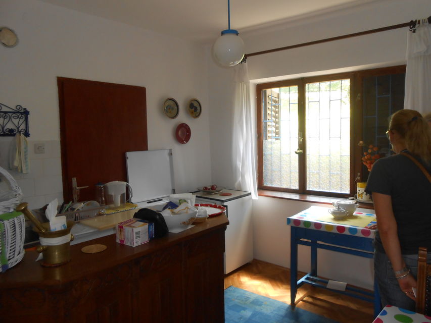 Dunavski put 8, Krčedin - 8