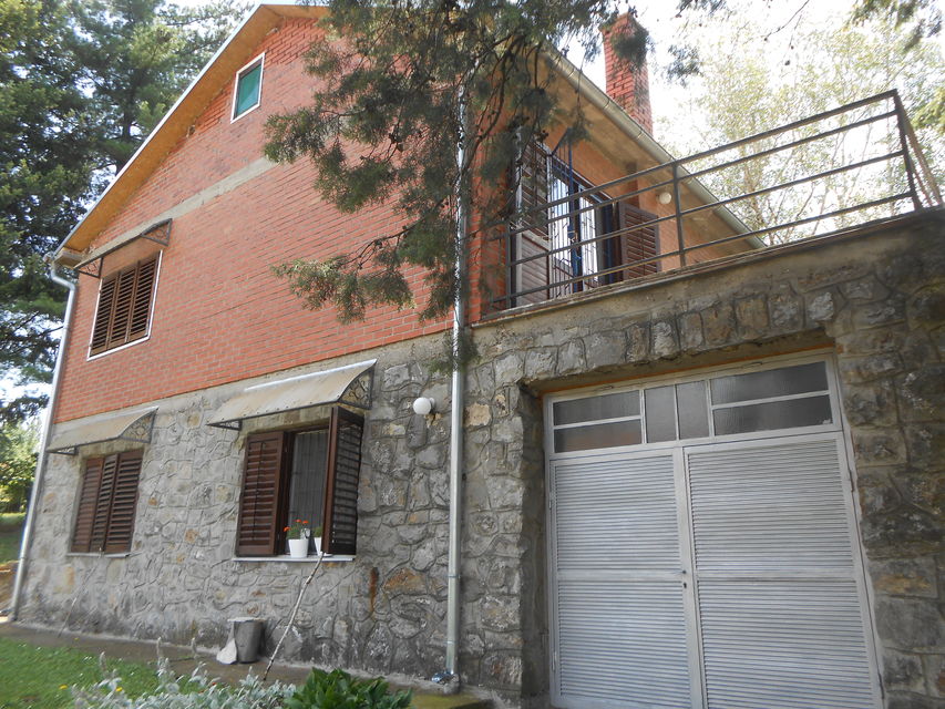 Dunavski put 8, Krčedin - 1