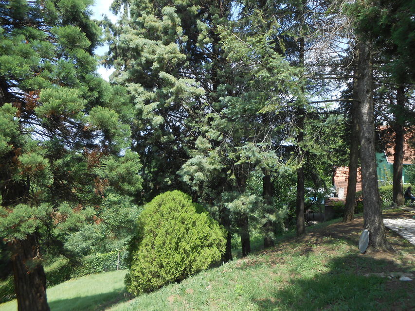 Dunavski put 8, Krčedin - 12