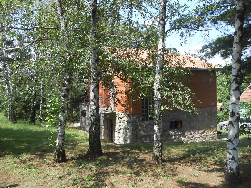 Dunavski put 8, Krčedin - 10