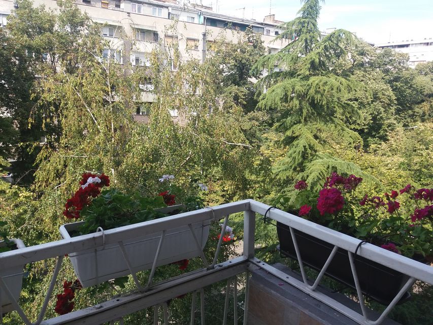 Džona Kenedija 45, Beograd - 9