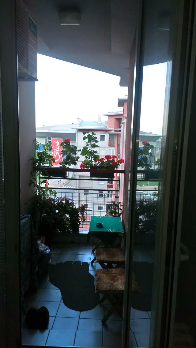 Španskih boraca 24v, Beograd - 5