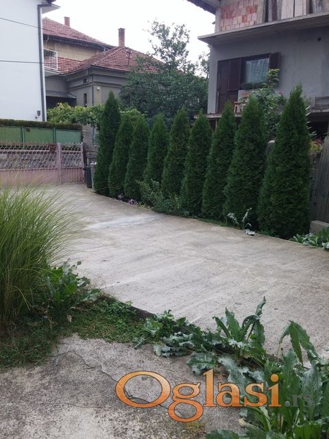 Bohinjska 1, Knjaževac - 2