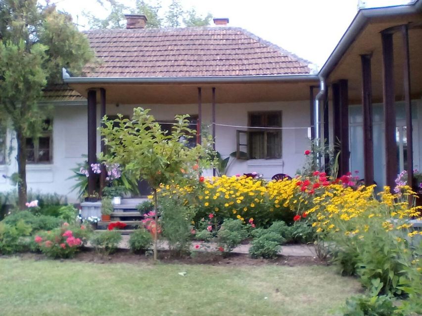 Ulica 3 120, Veliki Šiljegovac - 1