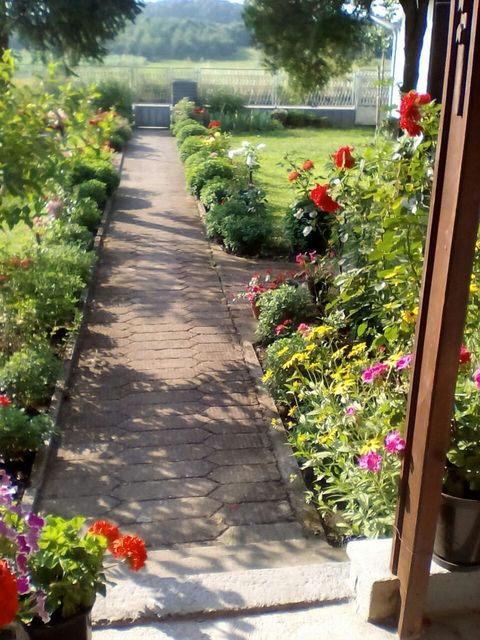 Ulica 3 120, Veliki Šiljegovac - 4