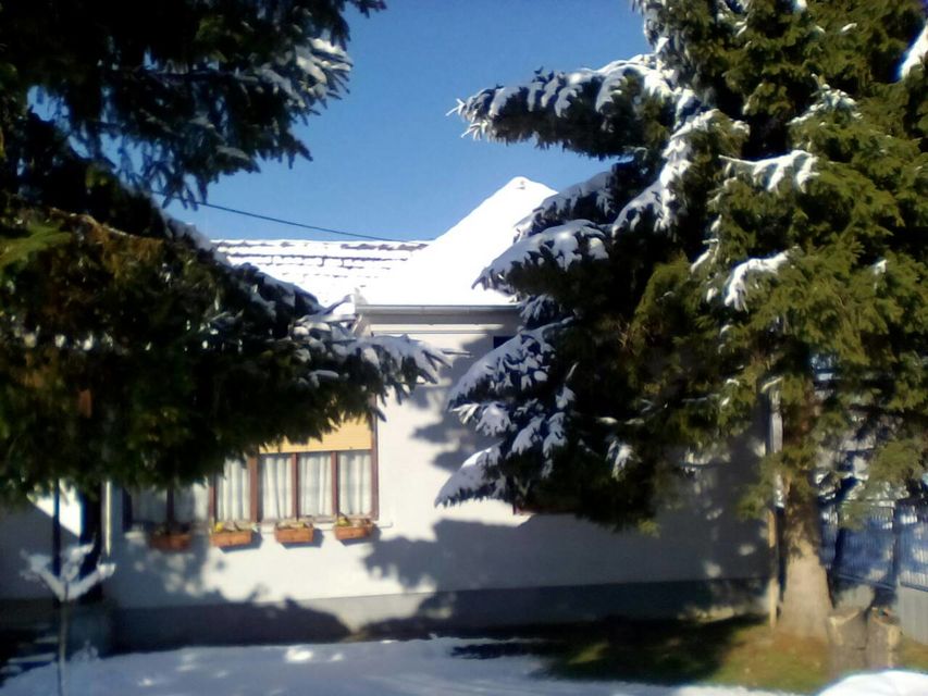 Ulica 3 120, Veliki Šiljegovac - 5