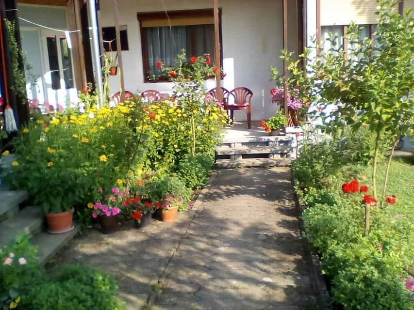 Ulica 3 120, Veliki Šiljegovac - 2