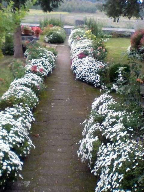 Ulica 3 120, Veliki Šiljegovac - 7