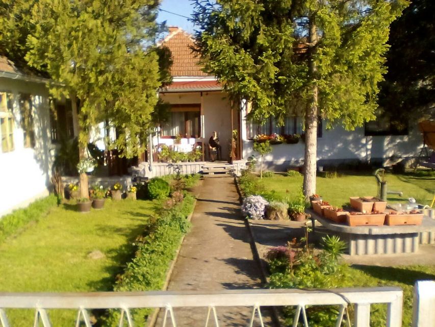 Ulica 3 120, Veliki Šiljegovac - 8