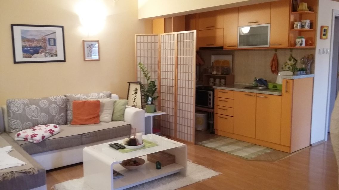 Ace Joksimovića 49, Beograd - 9