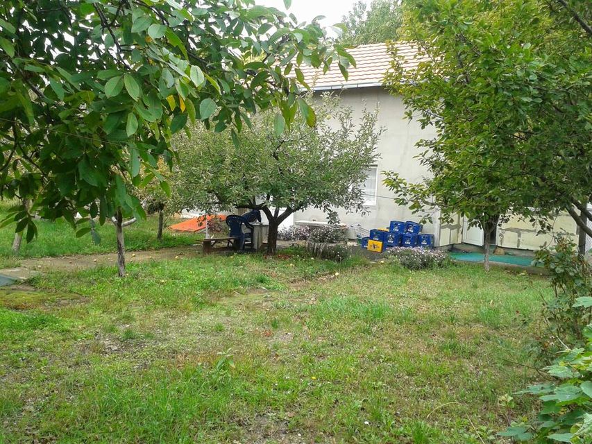 Breza 24, Novi Sad - 2