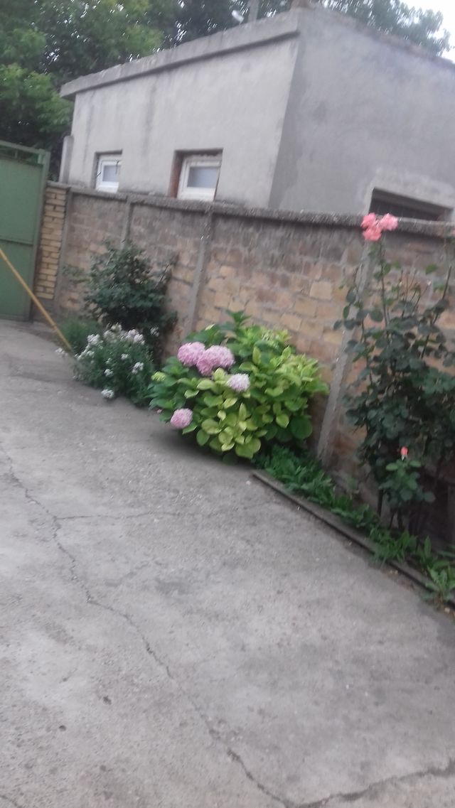 29. novembra 40, Kovin - 2