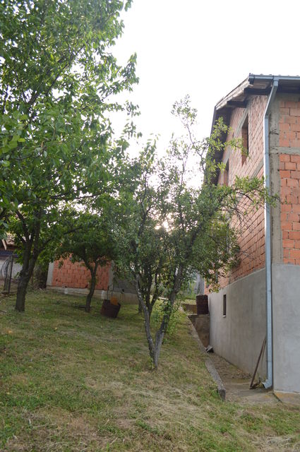 Stara Lipovica 1, Beograd - 5