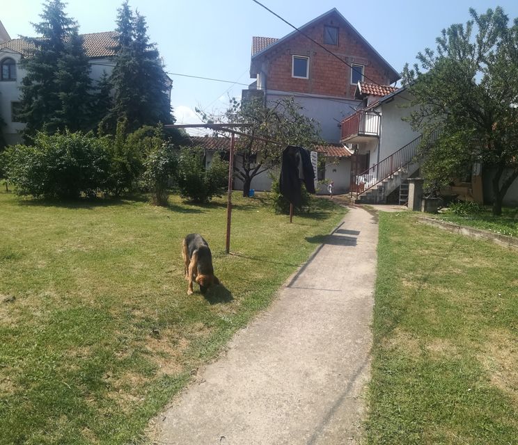 Izvorac 7, Beograd - 4