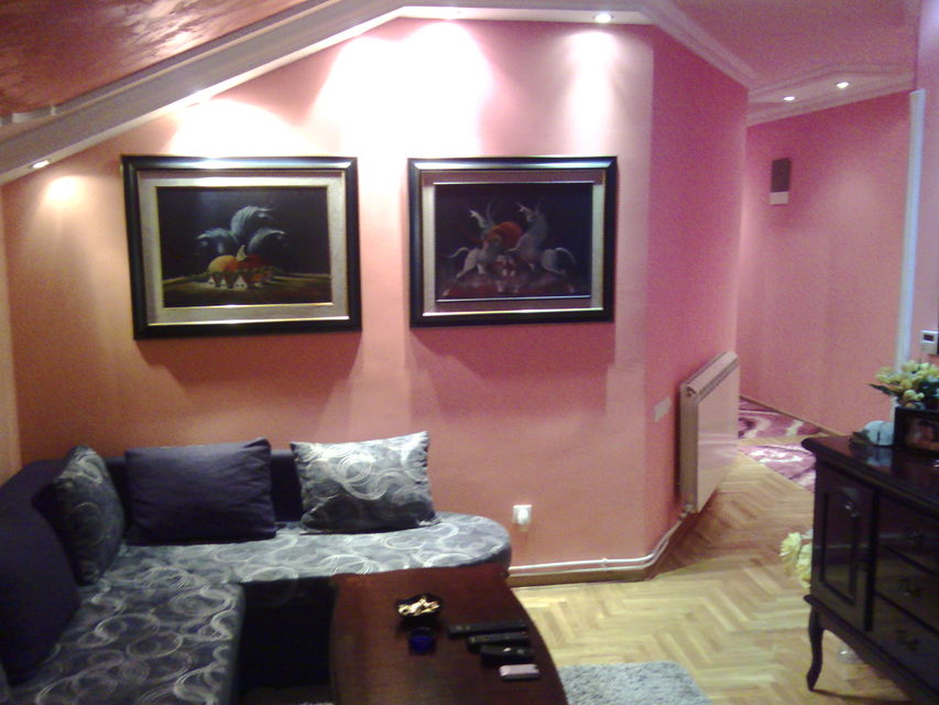 Roze Luksemburg 9, Beograd