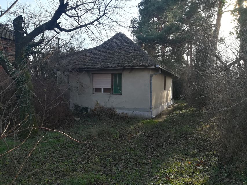 Miće Ilića 48, Azanja - 5