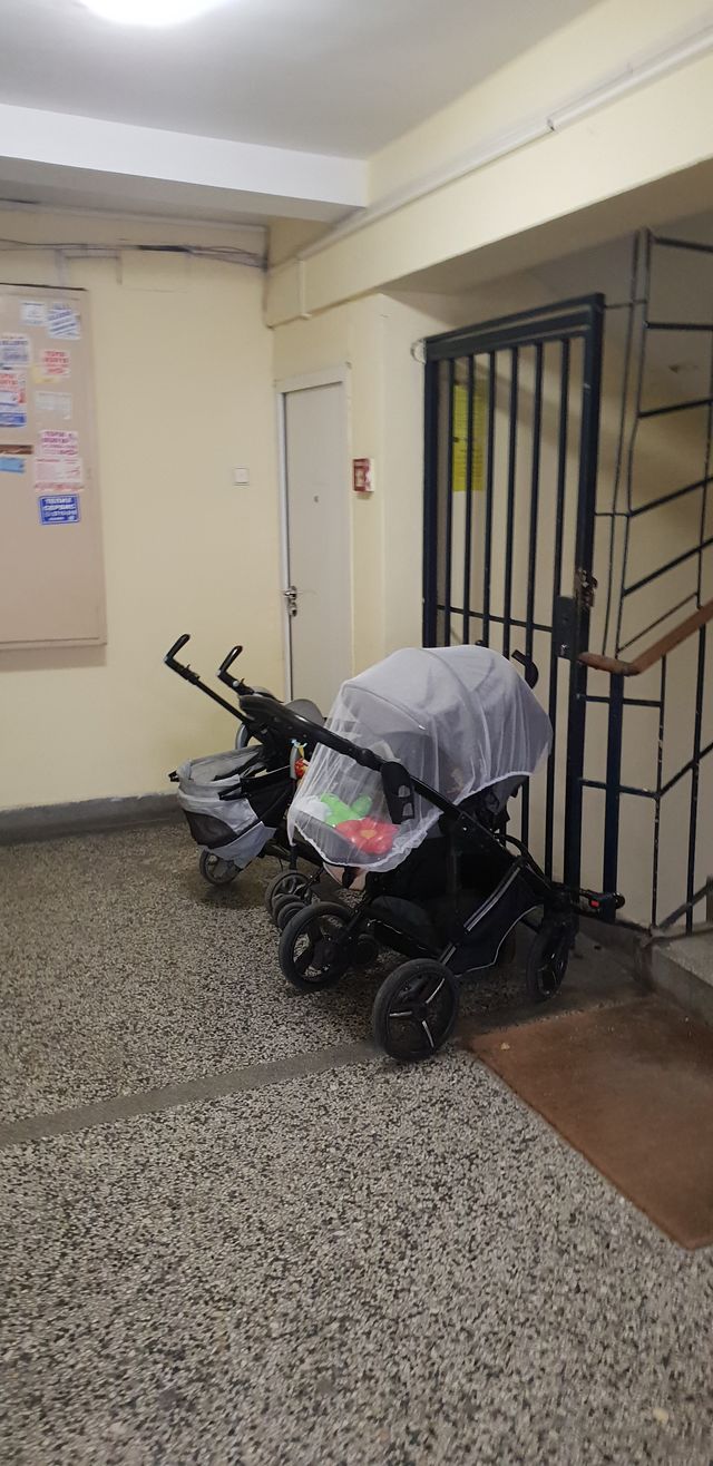 Tadeuša Košćuška 64, Beograd - 5