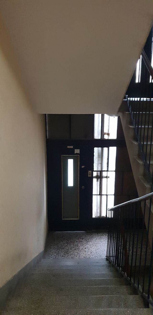 Tadeuša Košćuška 64, Beograd - 2