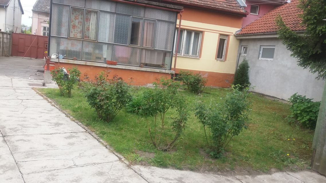 Glavna 61, Bečej - 2