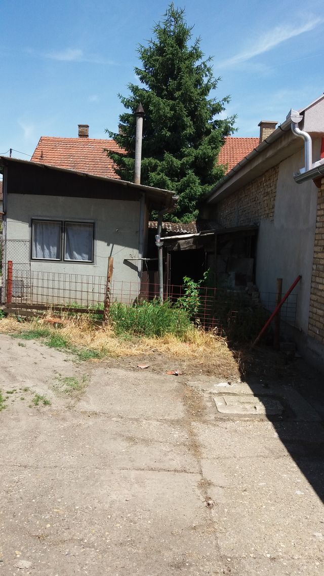 Glavna 61, Bečej - 6