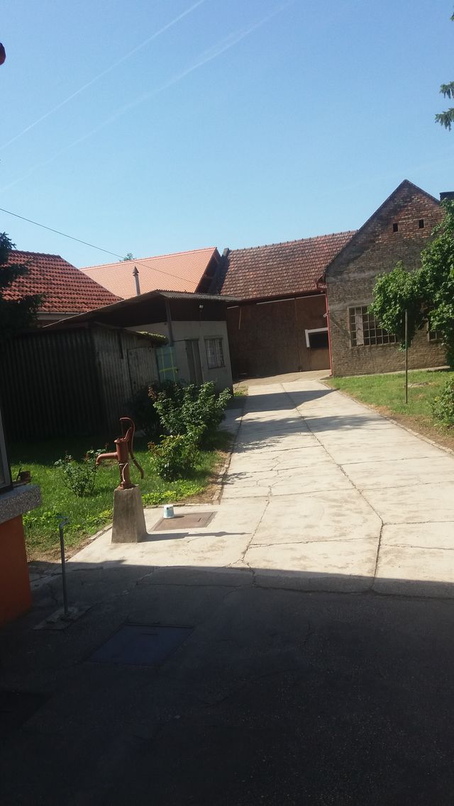 Glavna 61, Bečej - 11