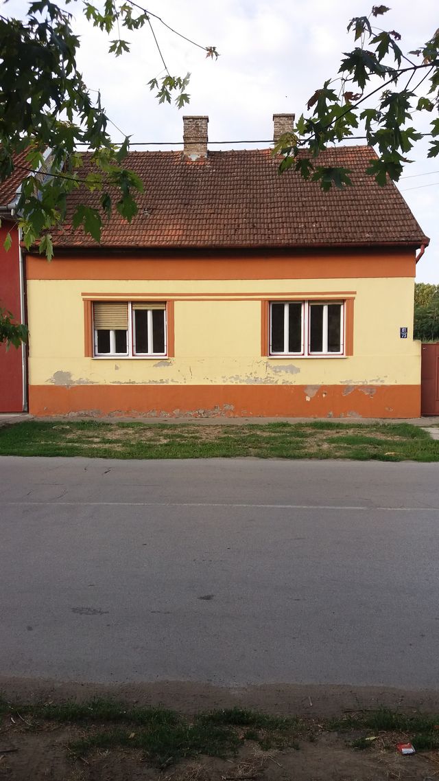 Glavna 61, Bečej - 5