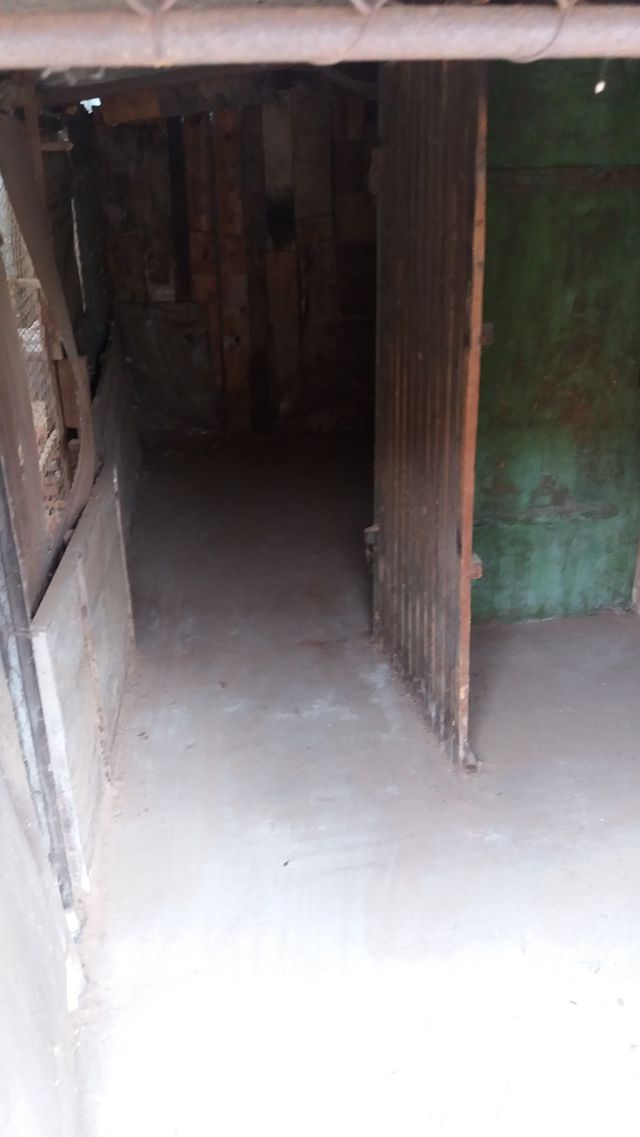 Glavna 61, Bečej - 4