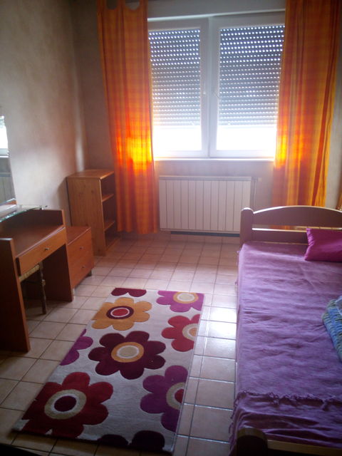 Tihomira Ostojića 4, Novi Sad - 7