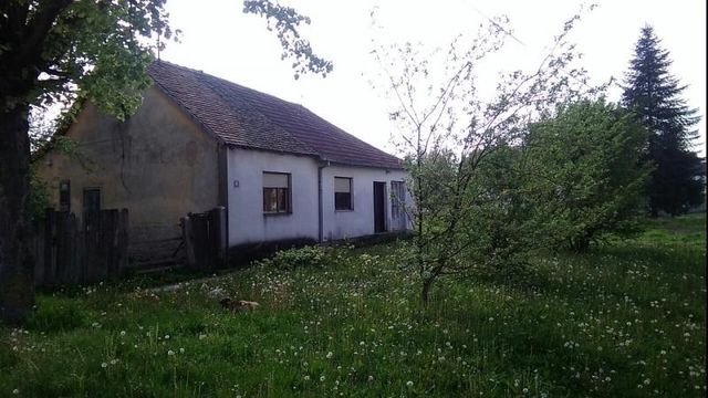 Vuka Karadžića 5, Ruma - 7