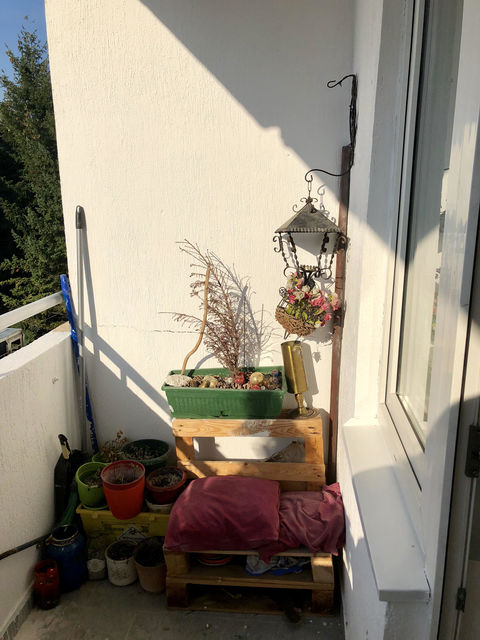 Braće Jerković 48, Beograd - 5