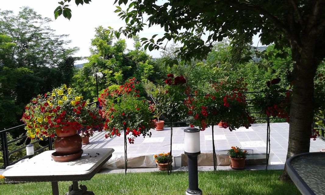 Augusta Cesarca 8, Beograd - 20