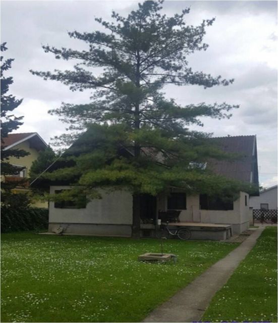 Stanoja Glavaša 111C, Novi Sad - 3