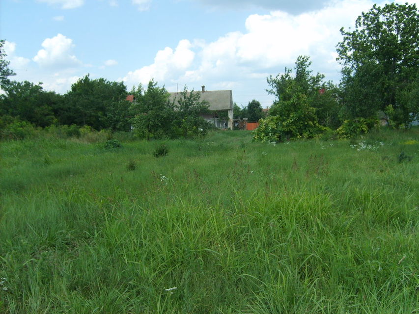 Svetozara Markovića 94, Vrbas - 2