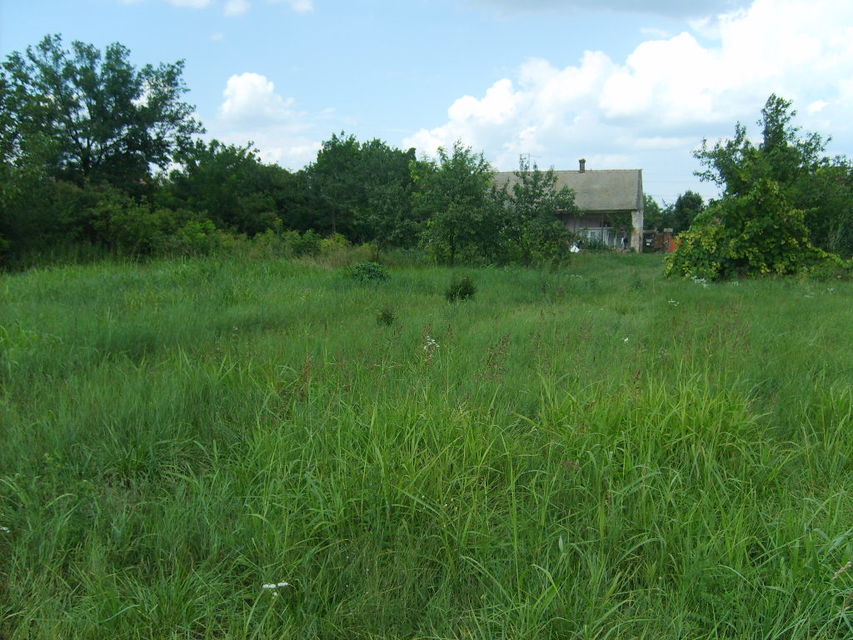 Svetozara Markovića 94, Vrbas - 4