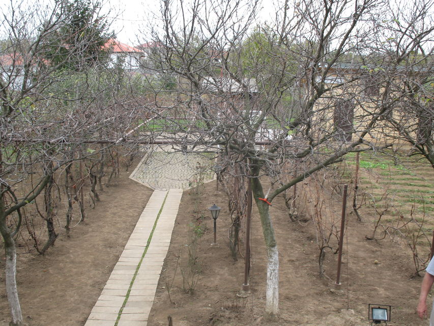 Kosovke devojke 24, Beograd - 5