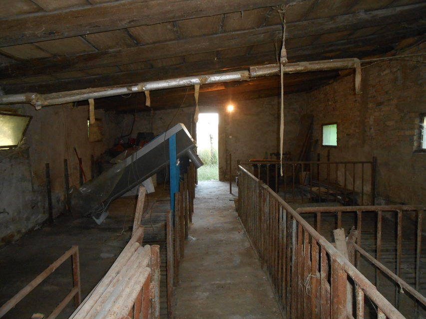 Kralja Petra Prvog 120, Beška - 8