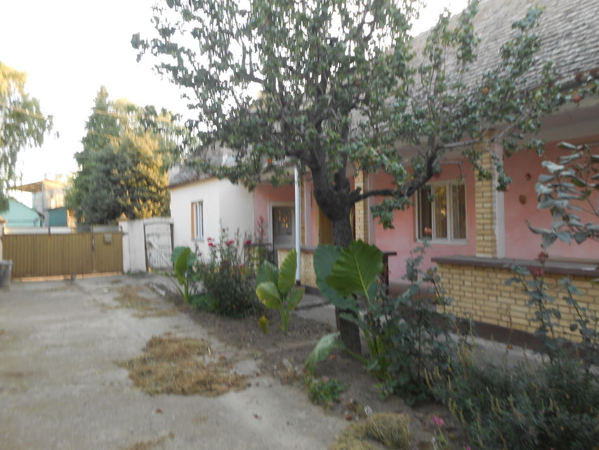 Kralja Petra Prvog 120, Beška - 11