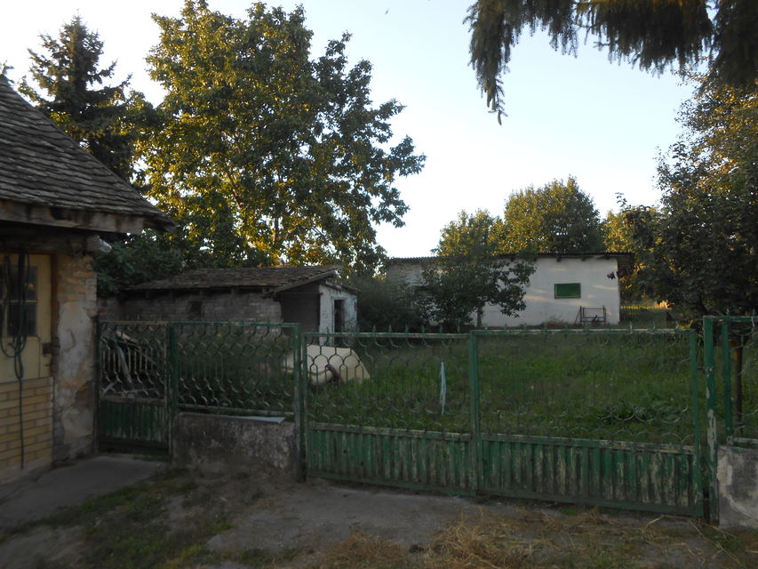 Kralja Petra Prvog 120, Beška - 7