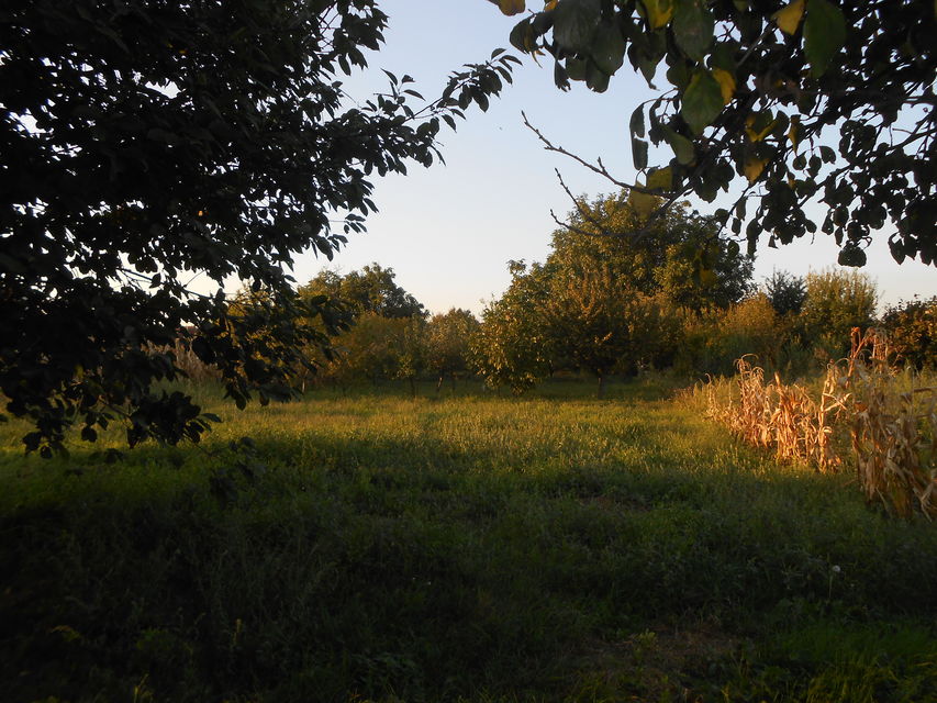 Kralja Petra Prvog 120, Beška - 10