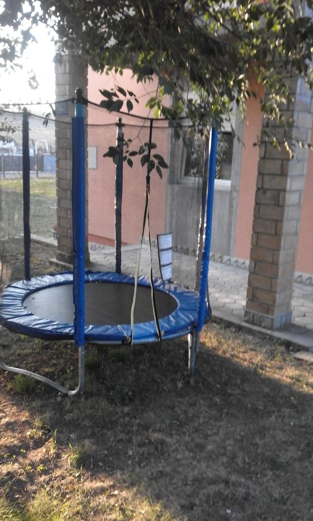 Bukovački put 68, Petrovaradin - 6