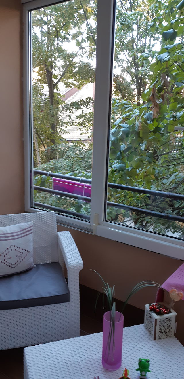 Lipa 4, Beograd - 14