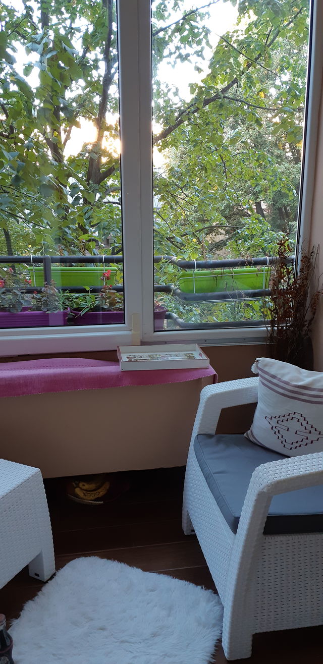 Lipa 4, Beograd - 12