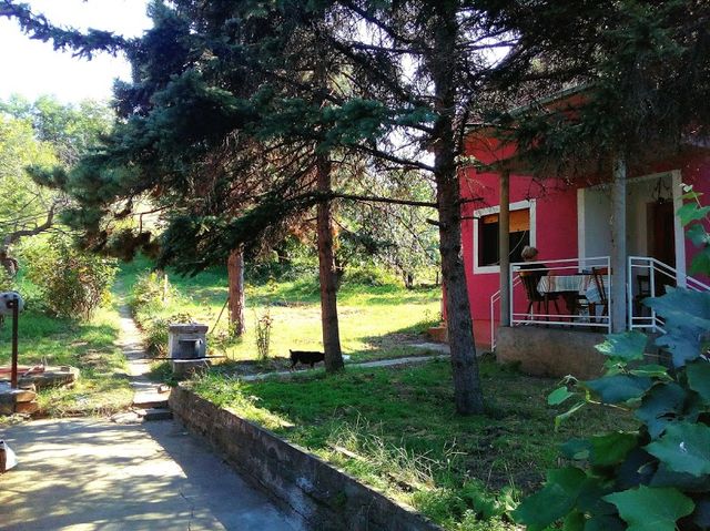 Glavni put bb-1, Vrbovac - 8